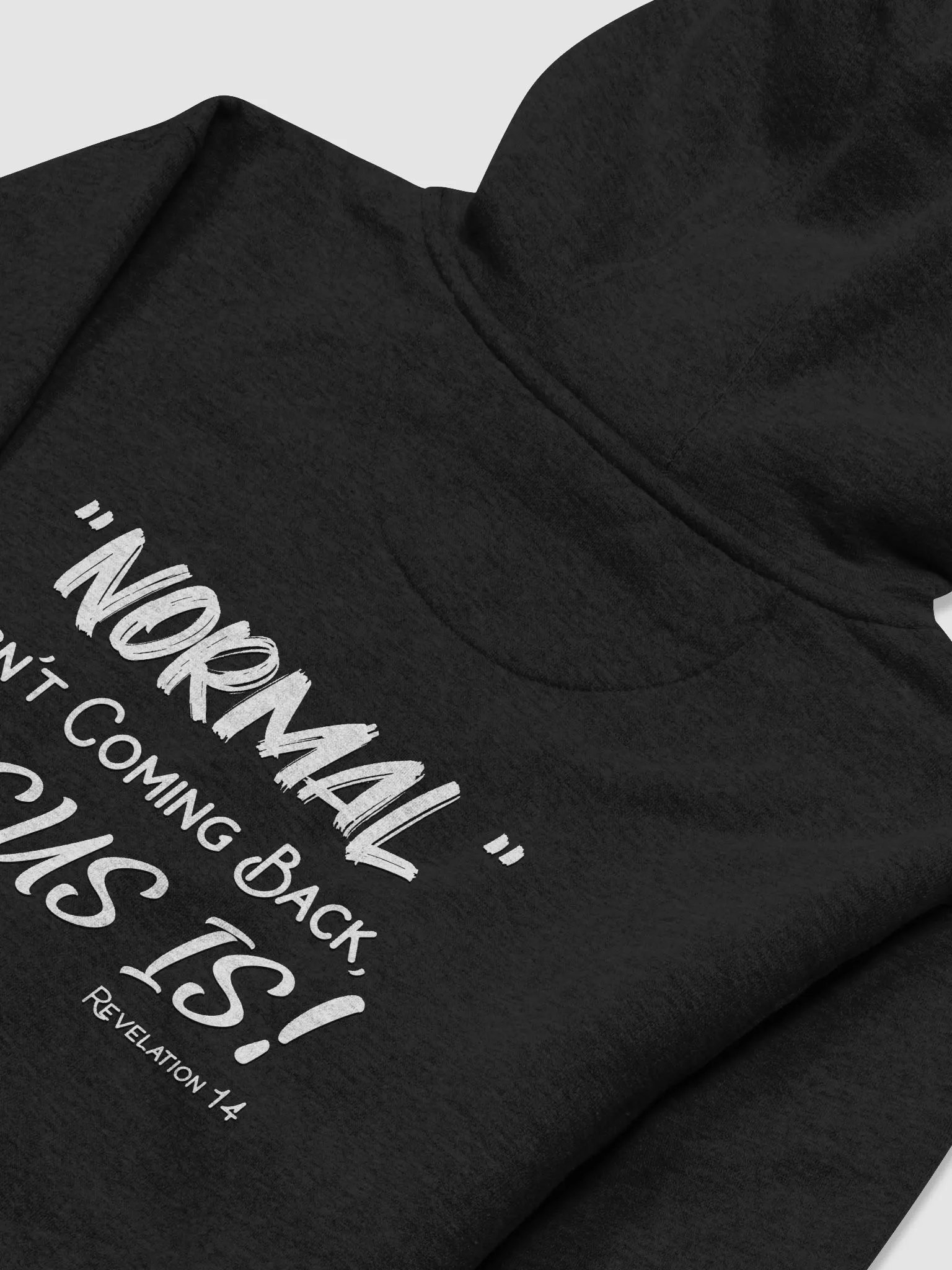 Revelation 14 | Hoodie product image (38)