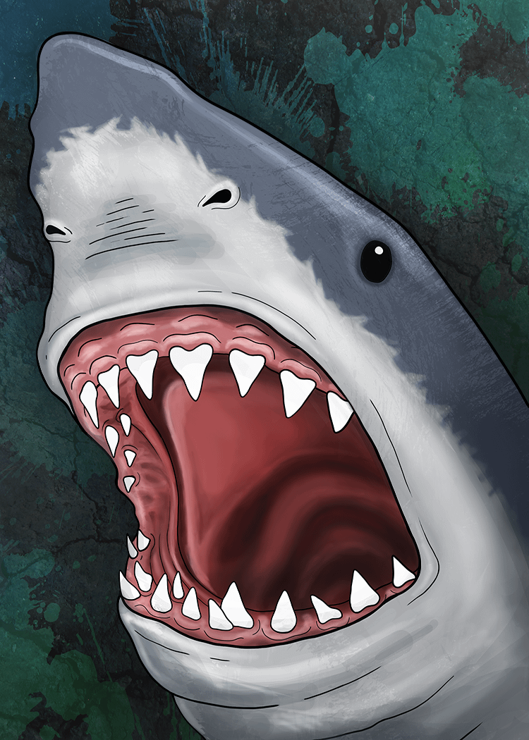 OG Shark on the Fridge Magnet product image (4)