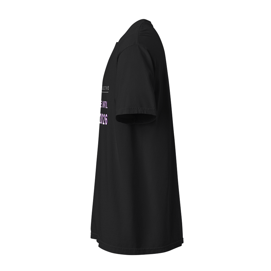 Current objective: Survive until May 2026 product image (2)