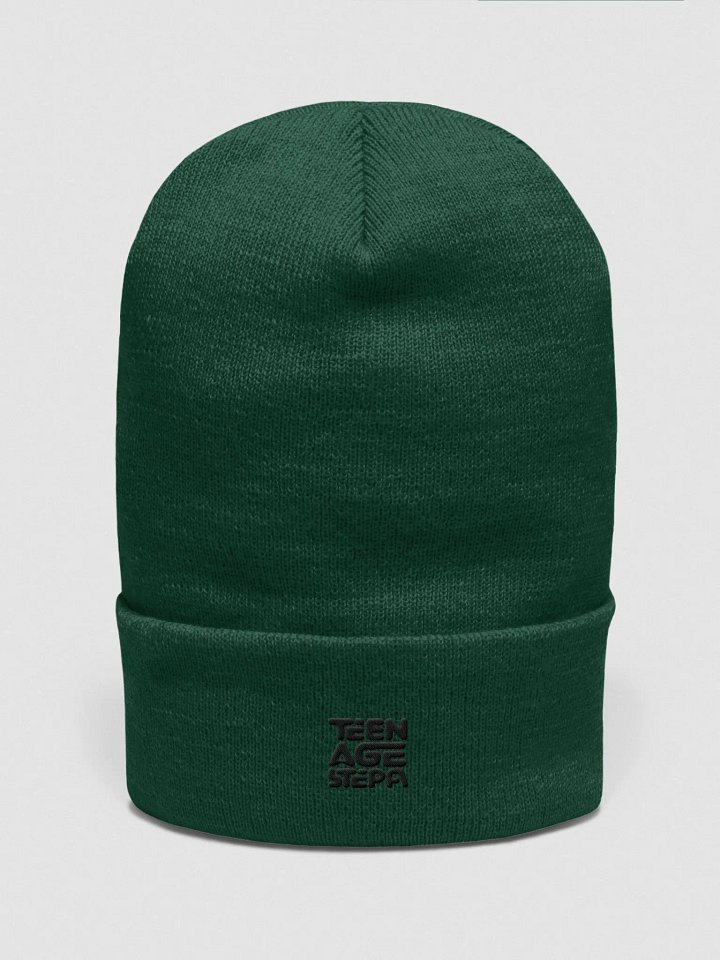 Teen Age Stepa Cuffed Beanie product image (1)