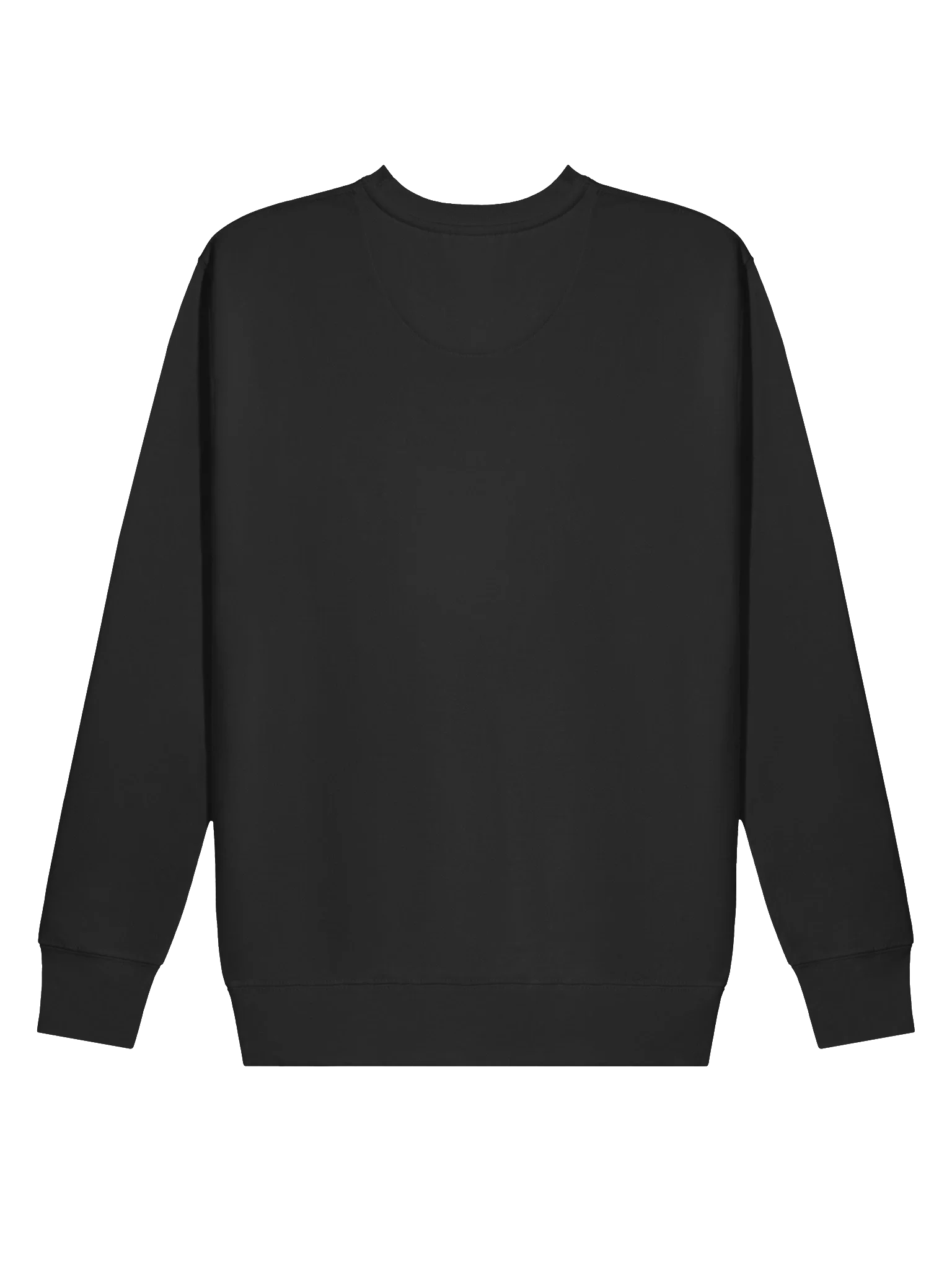 BVA Crewneck Sweatshirt product image (29)