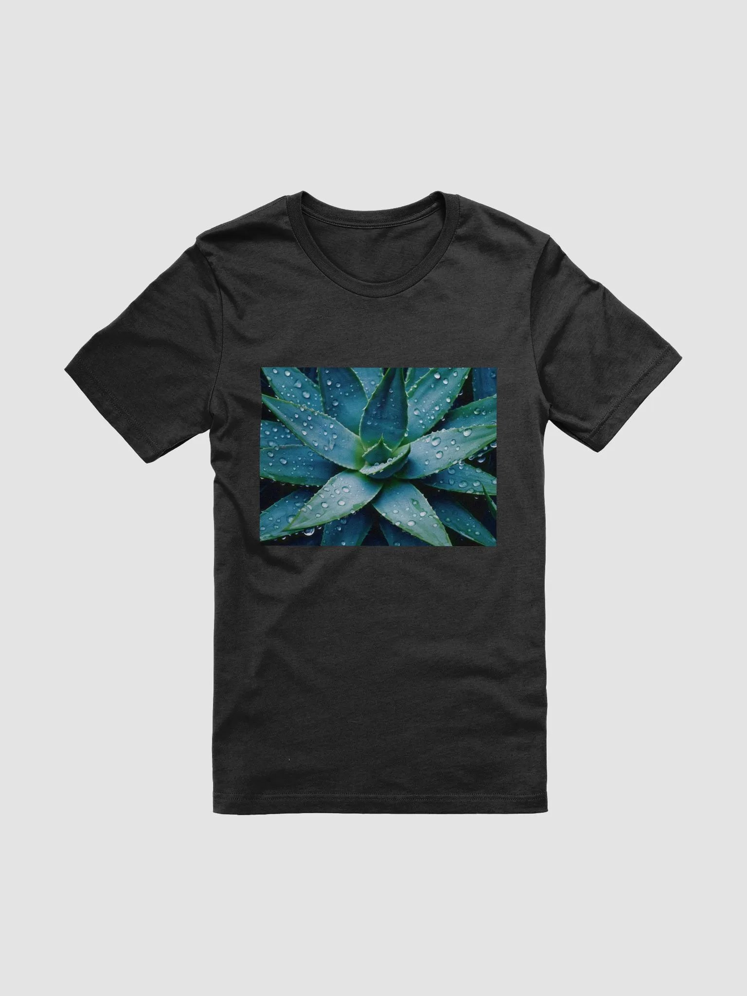 Agave Star product image (1)