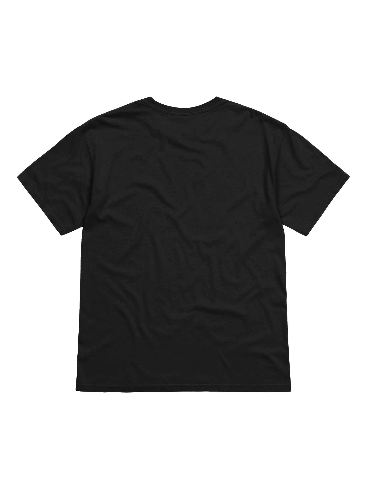 Equinox One t-shirt product image (2)