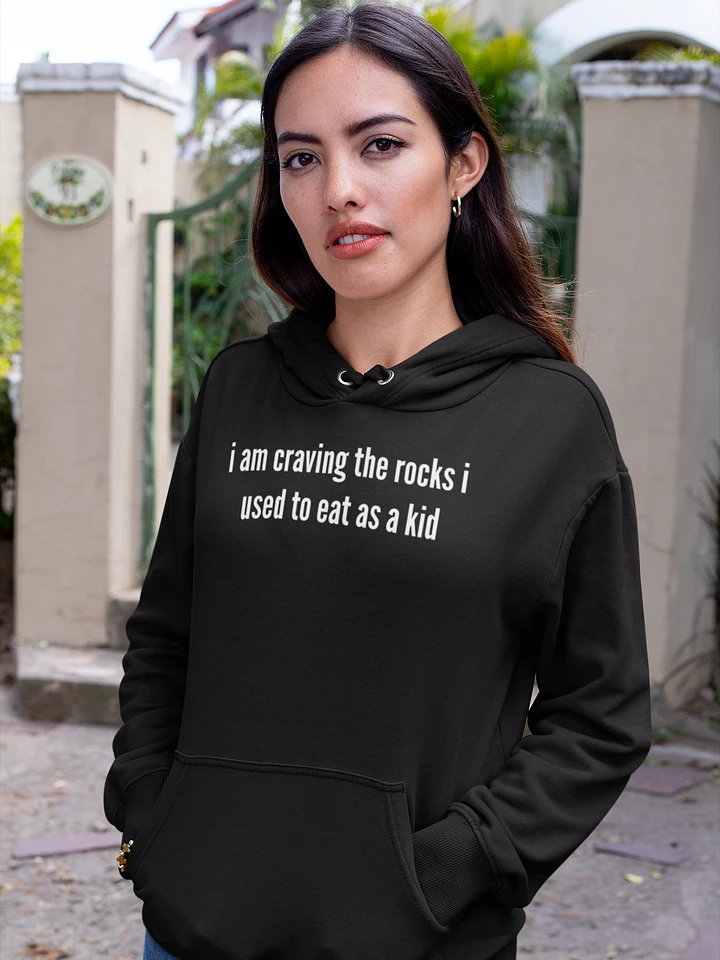 I am craving the rocks I used to eat classic hoodie product image (8)