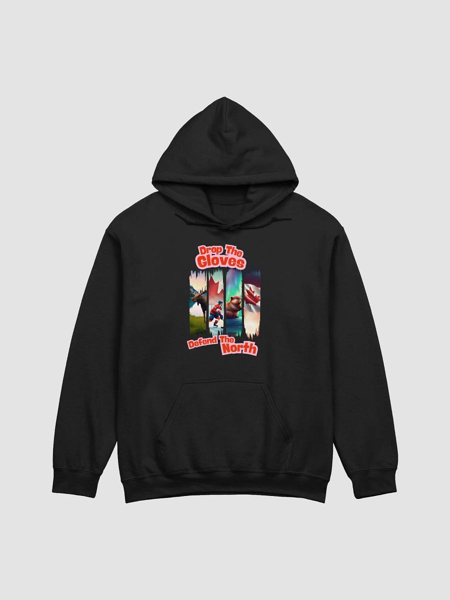 Northern Wonders Hoodie product image (2)