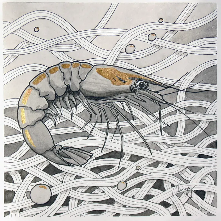 Jumbo Shrimp - Original Drawing product image (2)