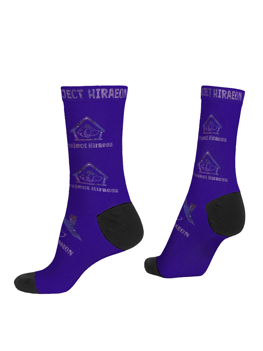 PROJECT HIRAEON SOCKS product image (4)