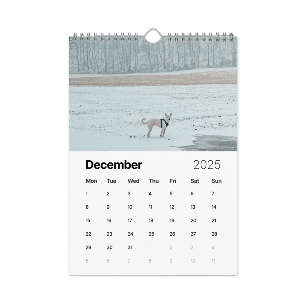 Eli's Favorite 2025 Calendar product image (4)