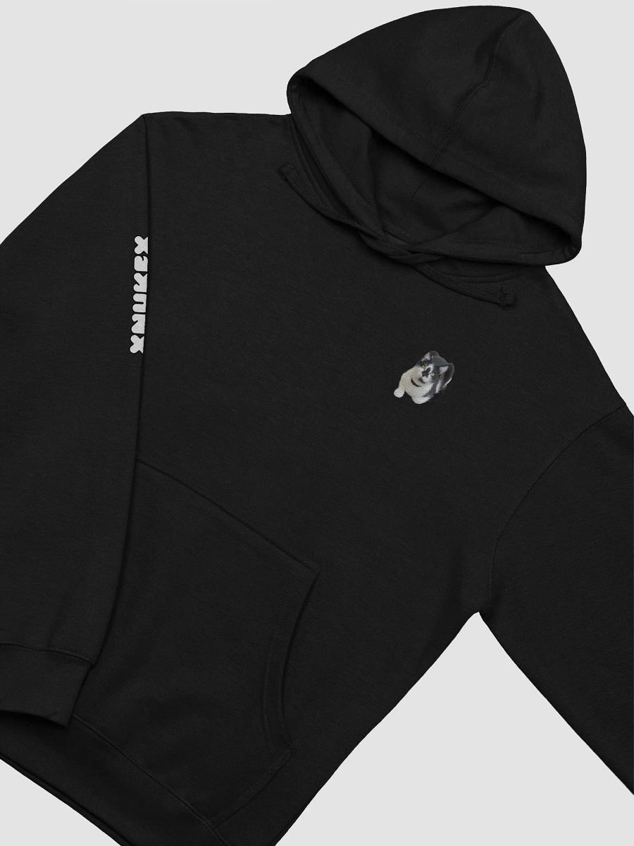 xRaviolix Hoodie product image (16)