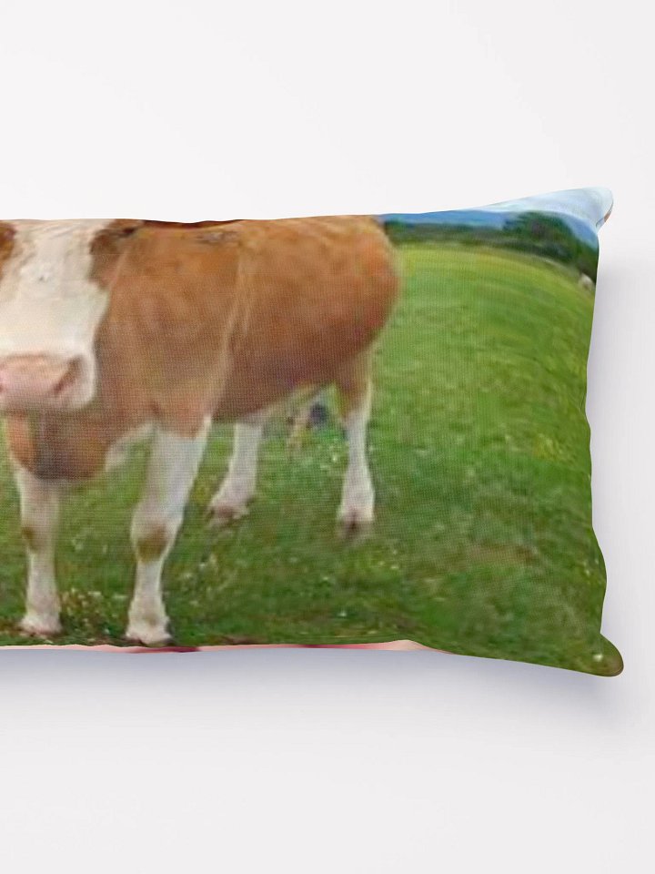 cool pillow product image (5)