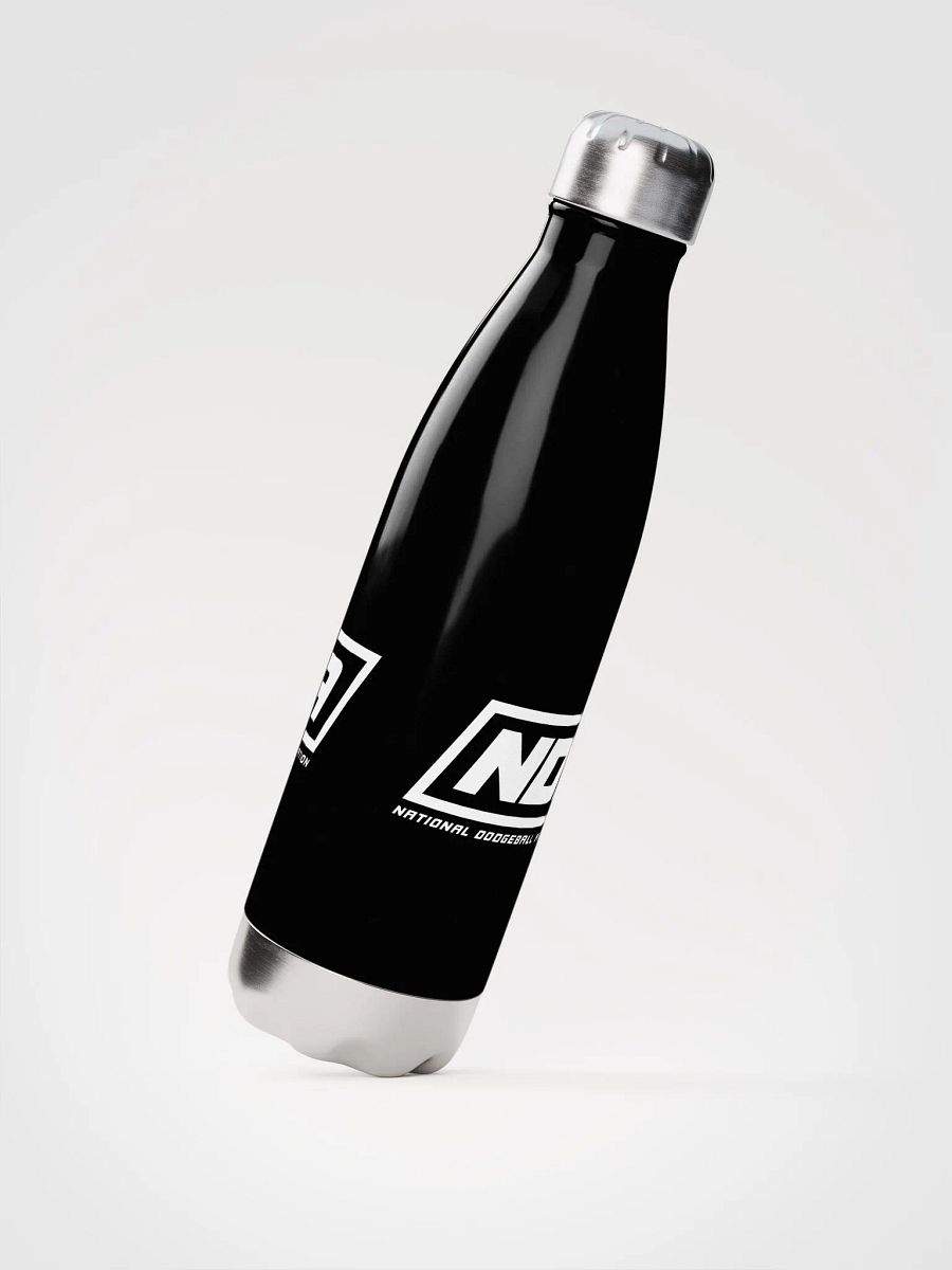 National Dodgeball Association Stainless Steel Water Bottle product image (3)