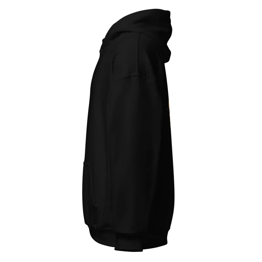 Don't Fear Classic Hoodie product image (22)