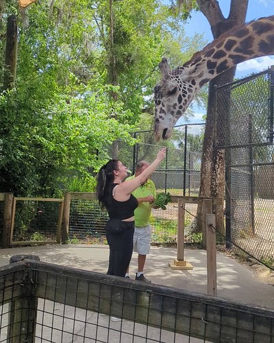 Day 1 back in the Sunshine State and I made some new friends and saw my best ones 💕🎉

#giraffelove #hotpot🍲 #livingwiththelan...