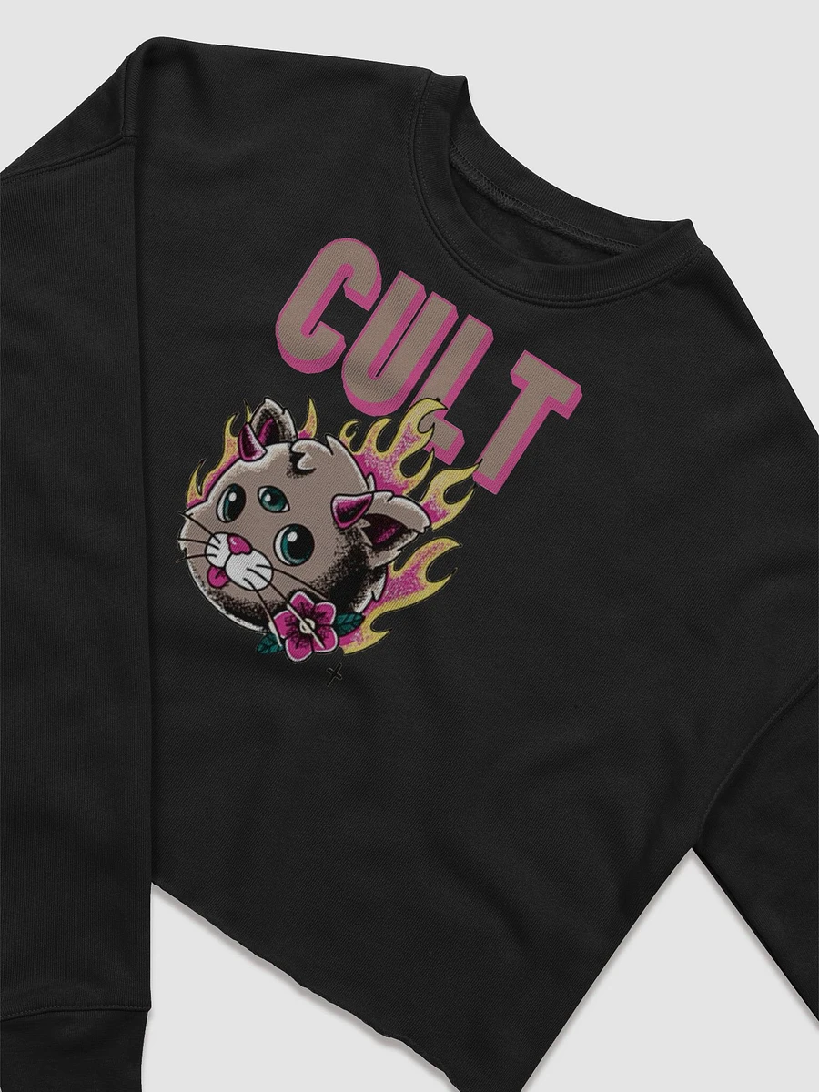 FIRE CAT LONG SLEEVE CROP product image (5)