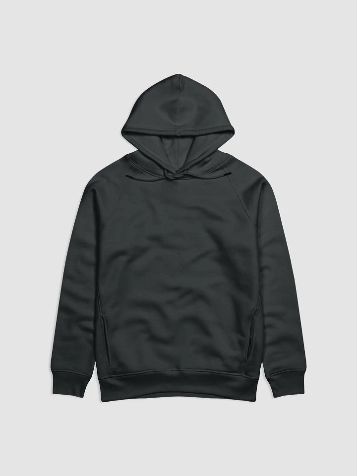Hoodie product image (1)