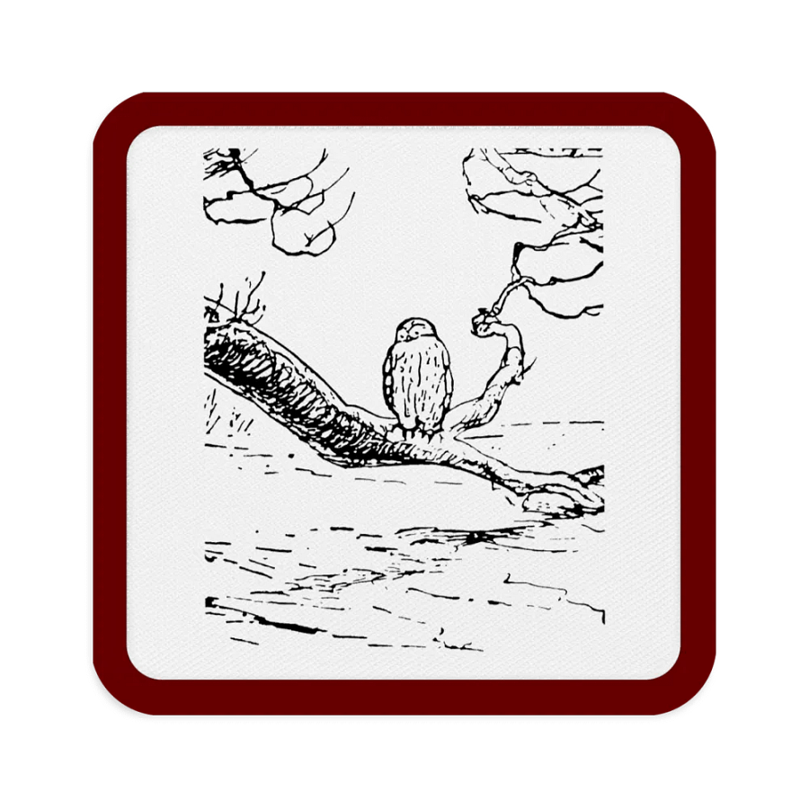 Embroidered Owl Patch product image (1)