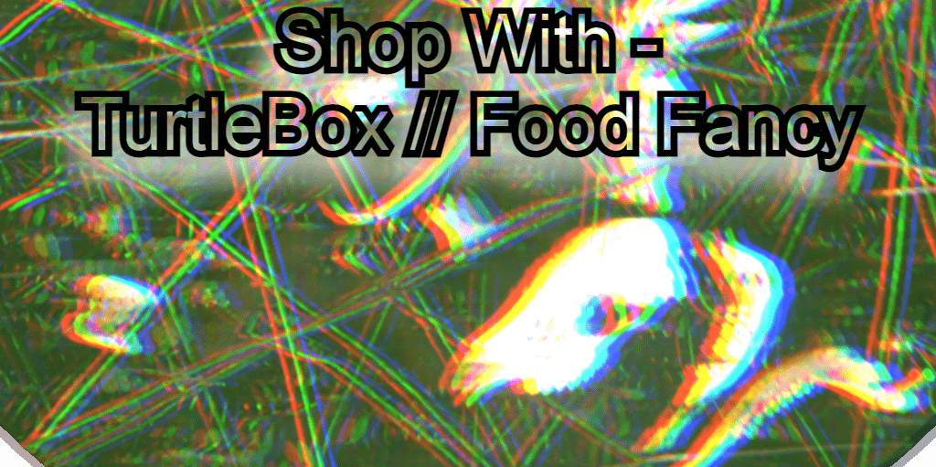 https://cdn.fourthwall.com/sr-creators/resources/941be92b-76b7-40d0-a084-e8574232ca98/7049f1adf9bc940c57622b164df6c742_11039c605112.png