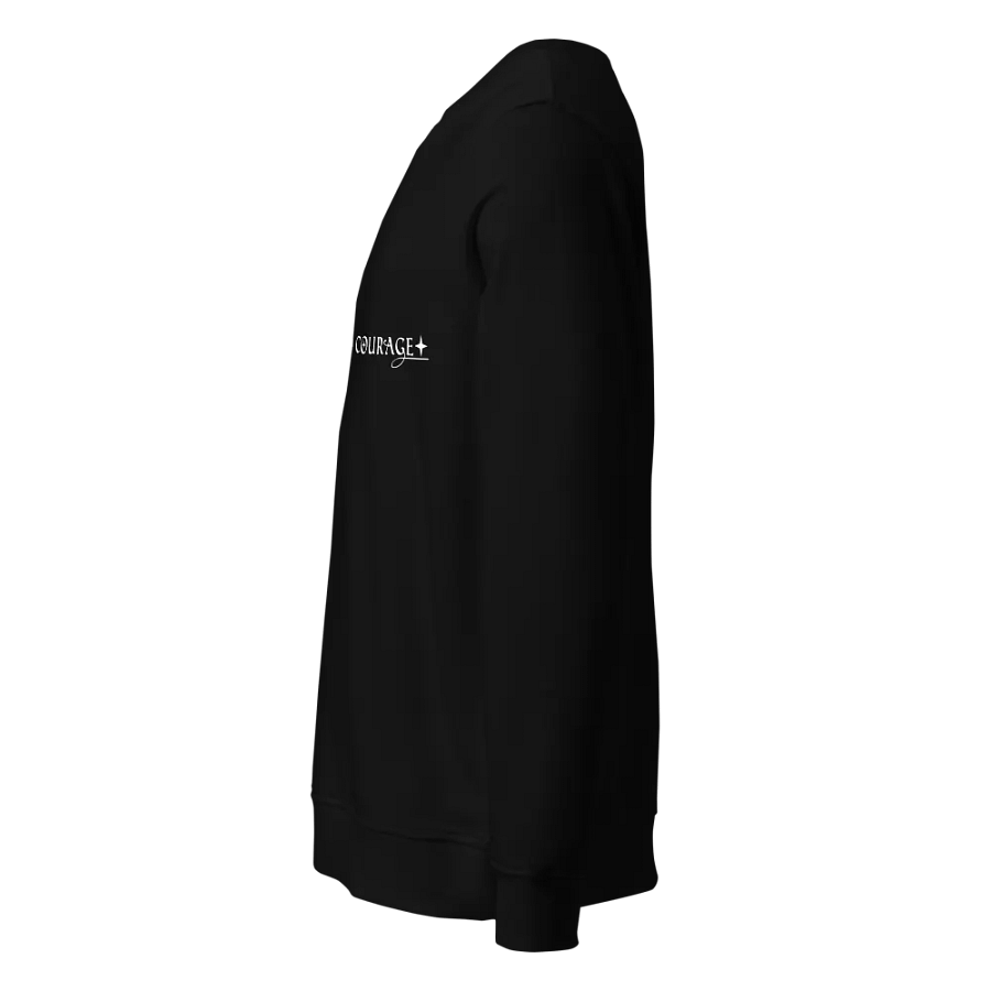 Truth & Courage - Sweatshirt product image (3)
