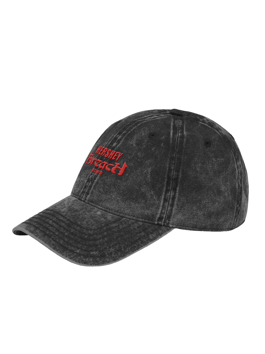Breach Hersheypark Stadium Dad Hat product image (3)