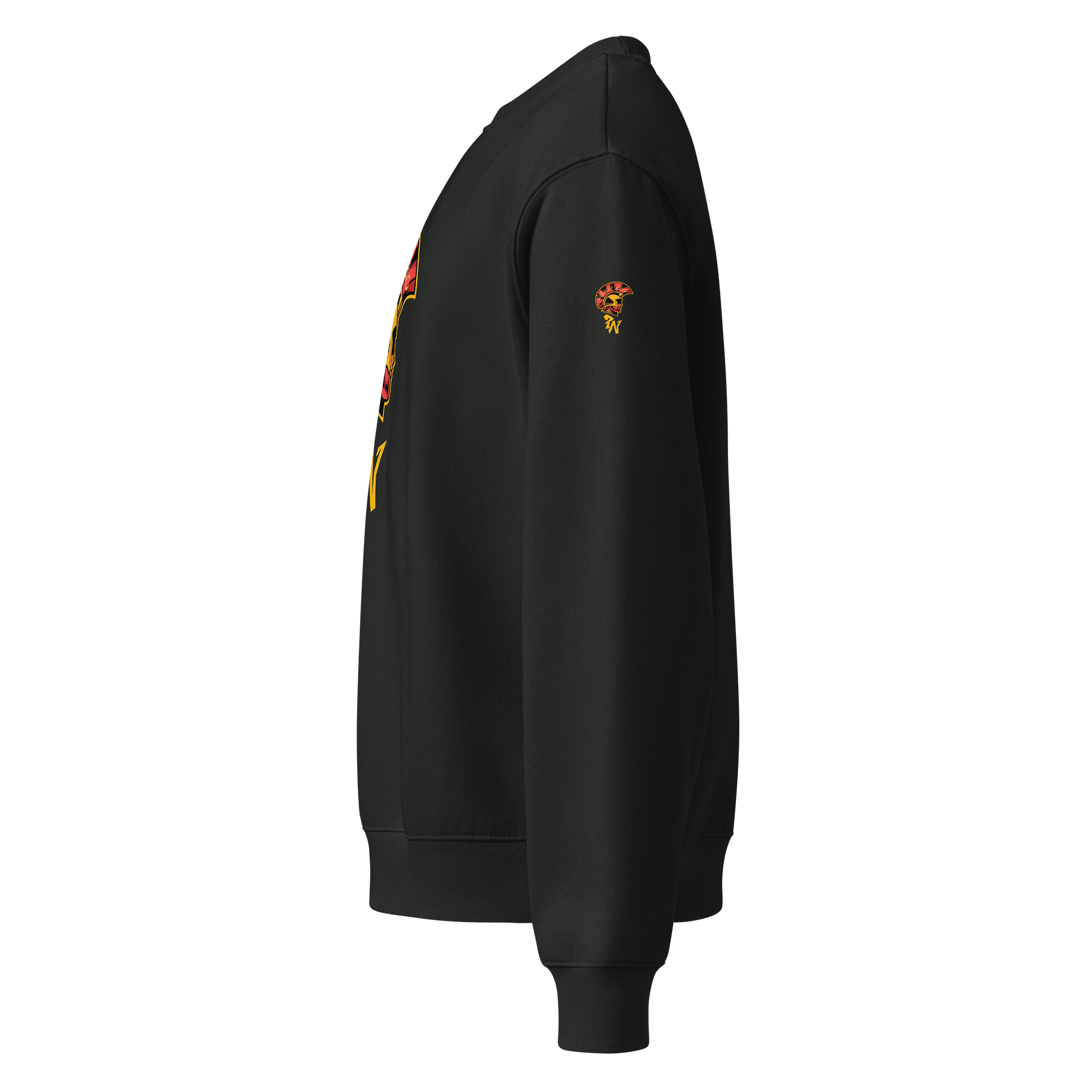 Patriot Warrior Crest Oversized Sweatshirt product image (3)