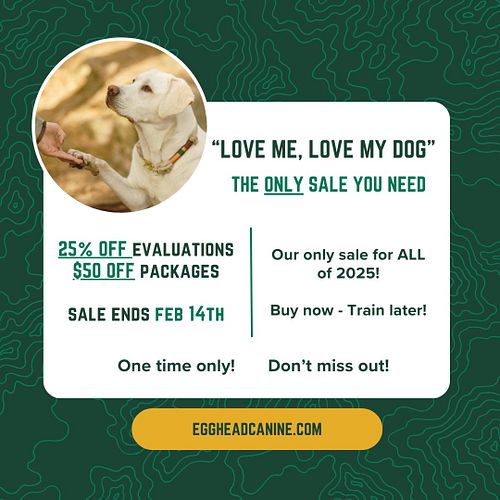 Take advantage of the only sale Egghead will have ALL YEAR with buy now, train later! 

That is right—you can save 25% off yo...