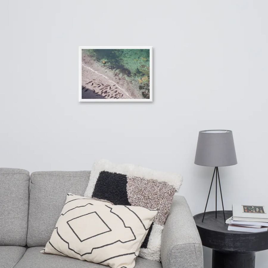 Seals on a hidden beach product image (10)