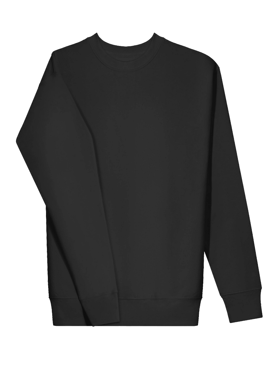 Premium Sweatshirt product image (3)