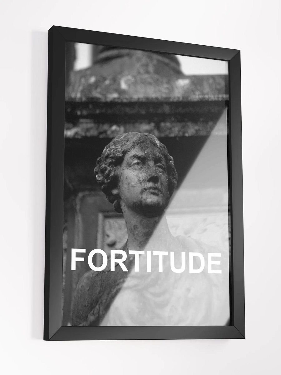 Framed Fortitude Photograph product image (3)