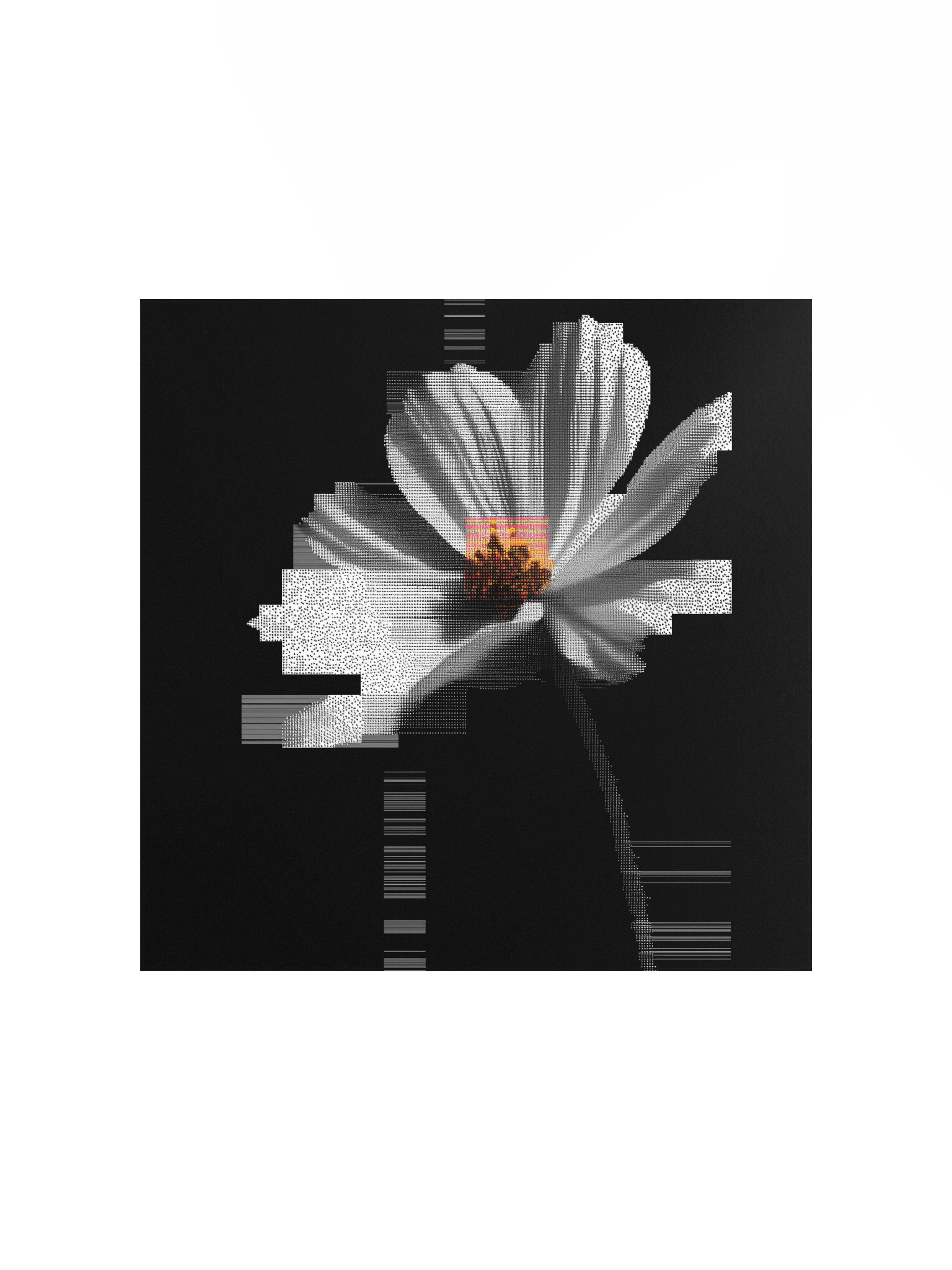 Flora.exe product image (4)
