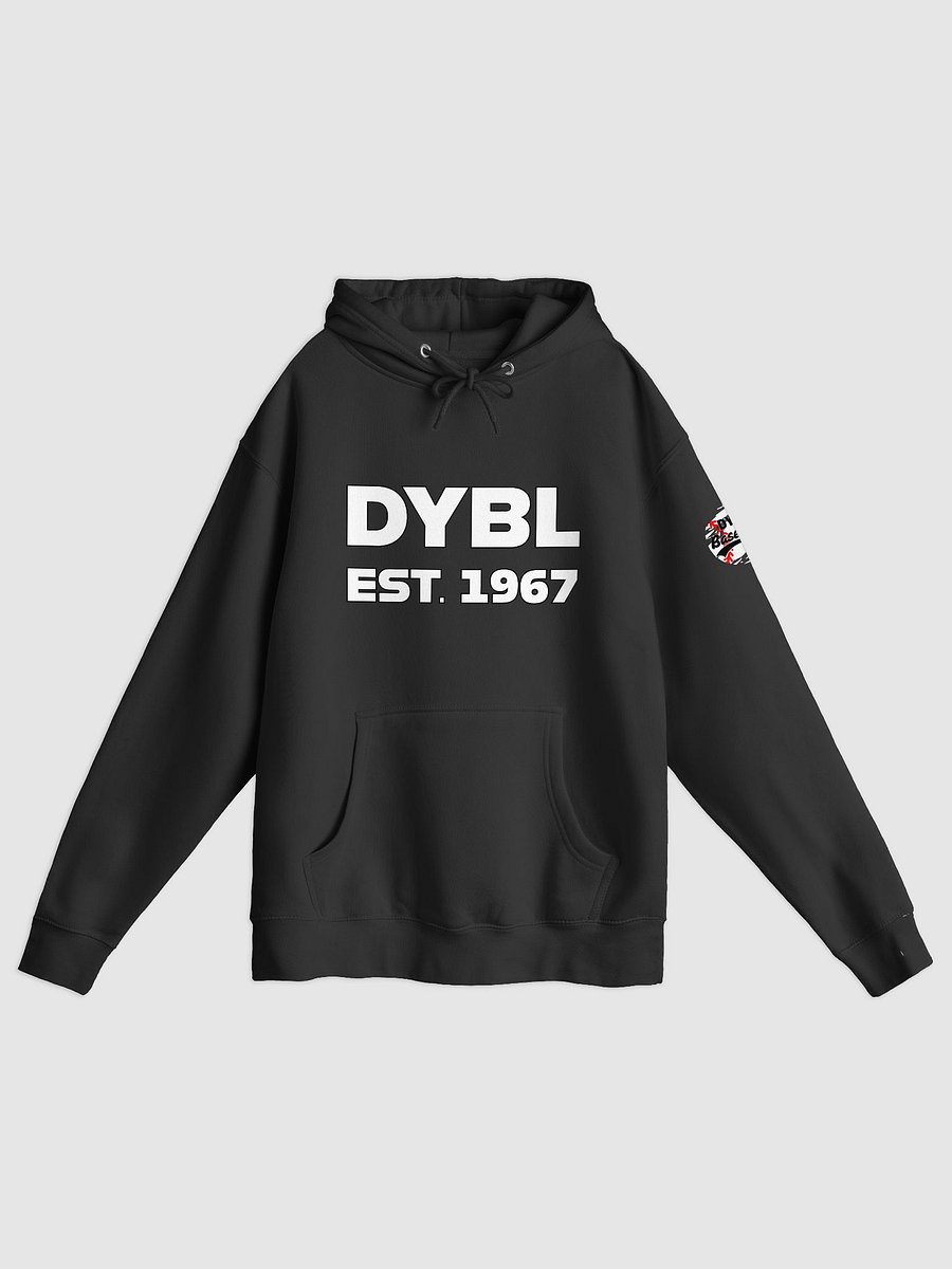 DYBL Baseball Premium Hoodie product image (1)