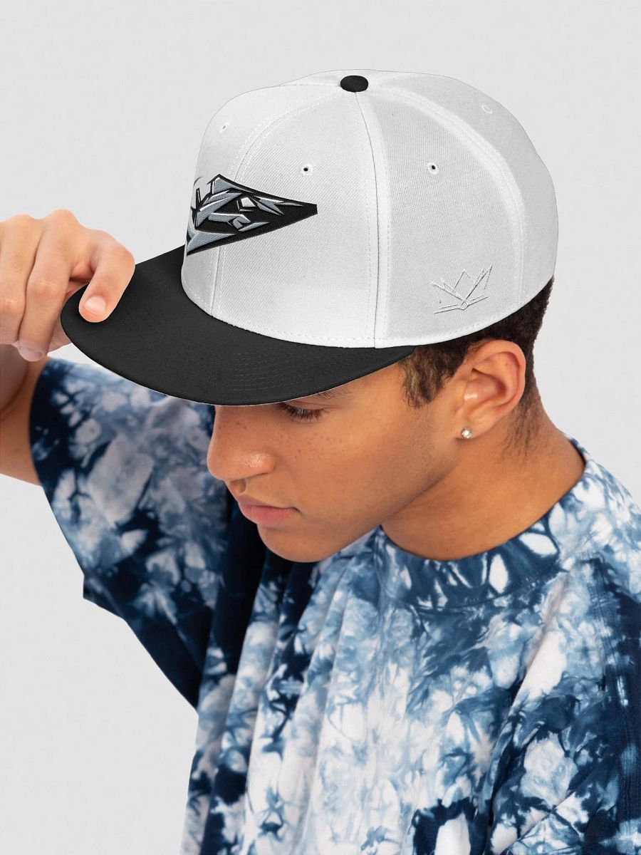 Virginia Beach Nighthawks Gridiron Clothing Snapback Hat product image (7)