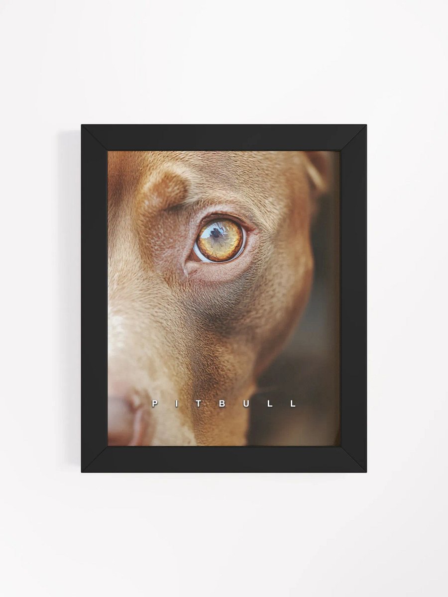 Pitbull's Eye Matte Poster product image (36)