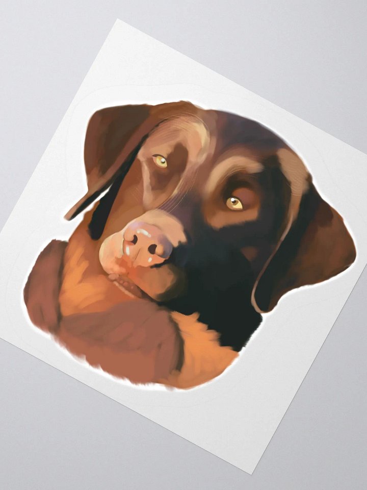 Chesapeake Bay Retriever product image (5)