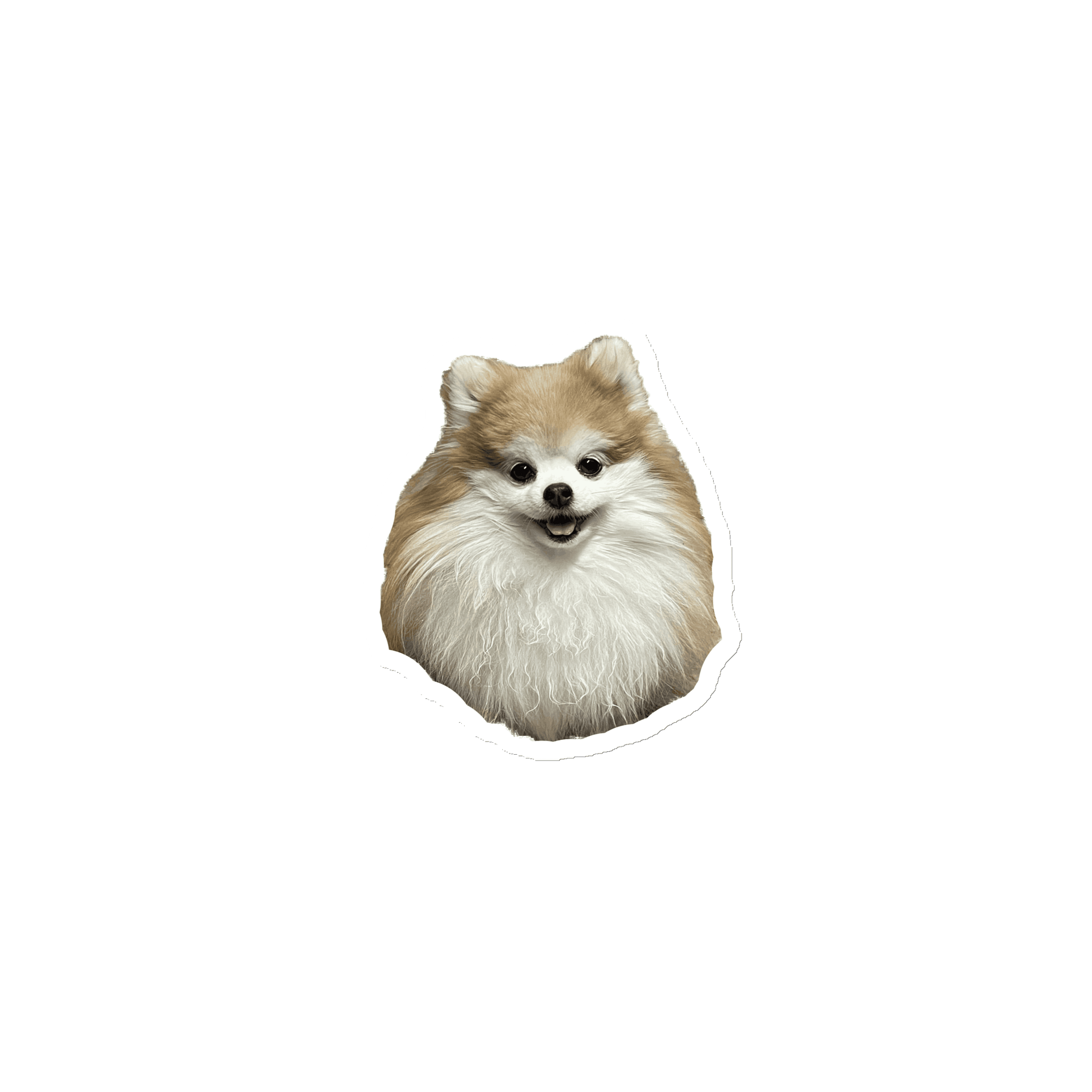 Floof Magnet product image (1)