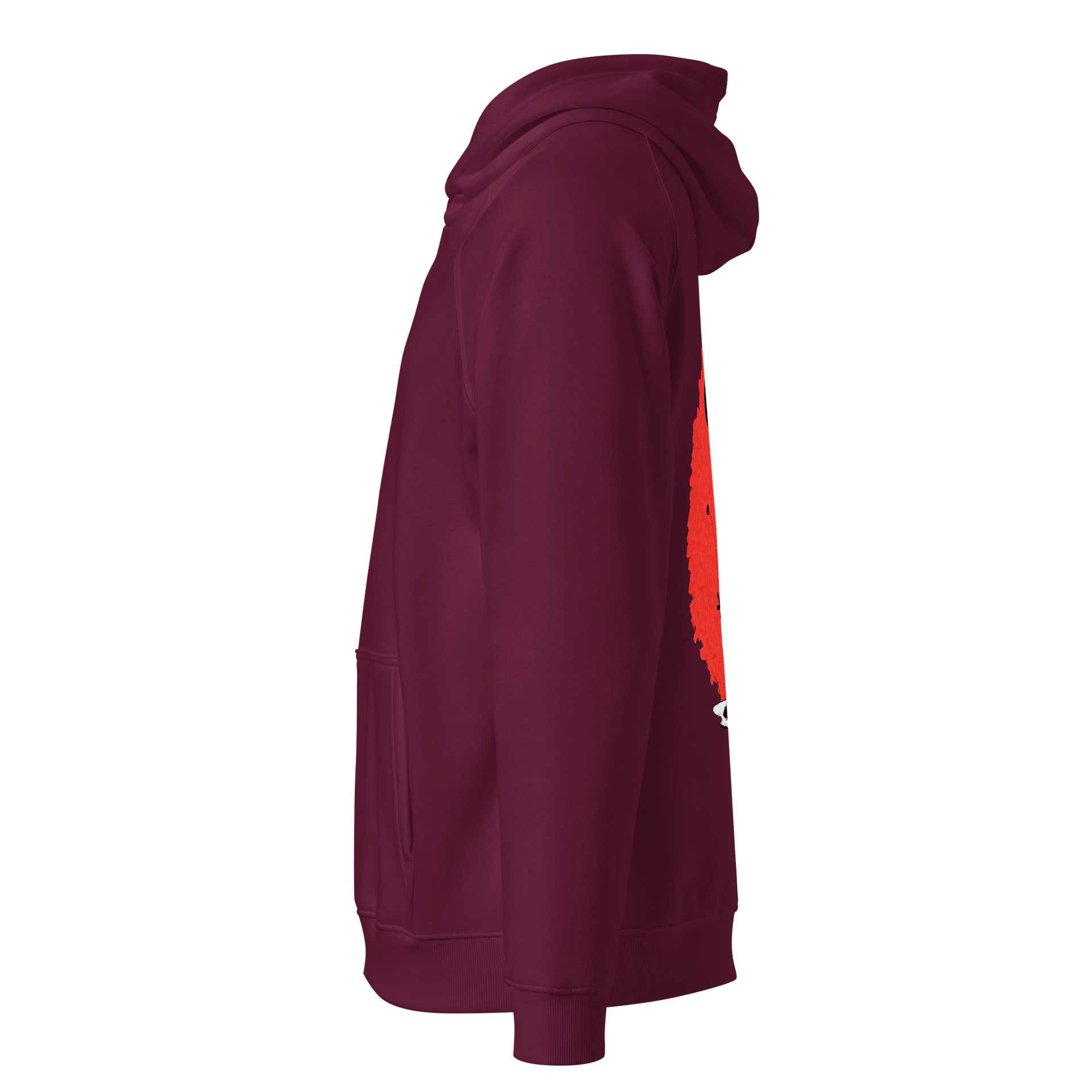 SOL'S Unisex Eco Raglan Hoodie product image (3)