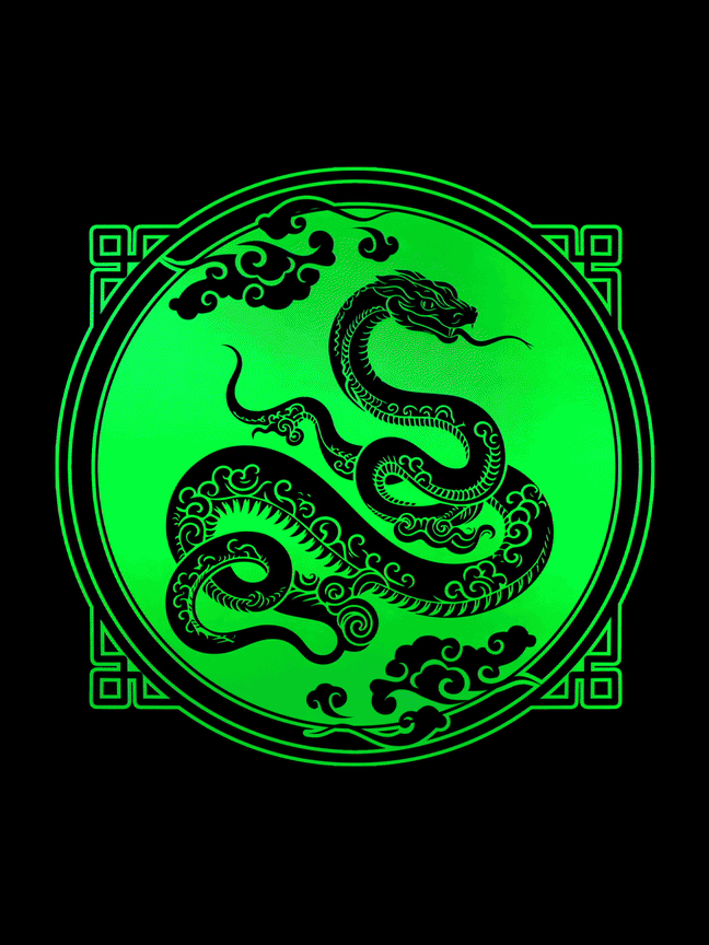 Year of The Snake [13x13] product image (1)