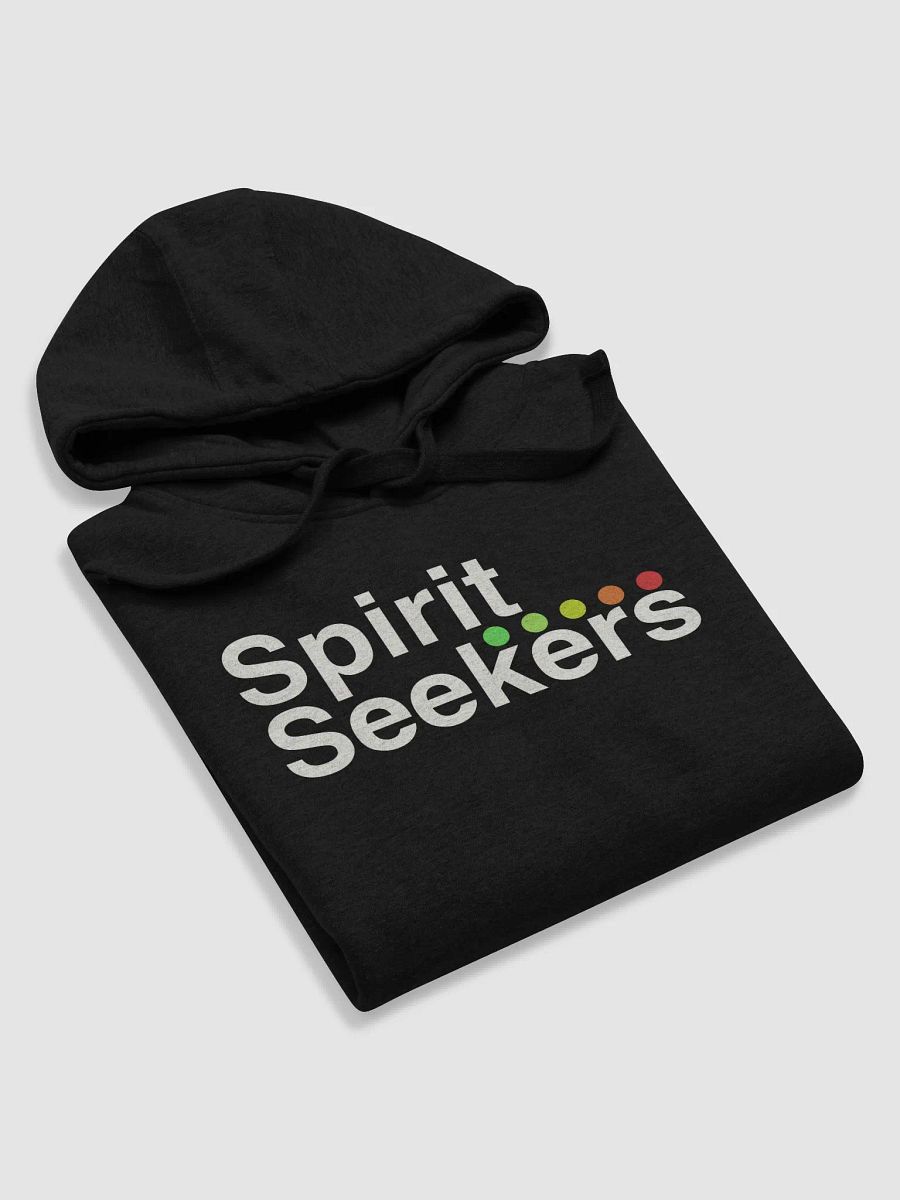 Spirit Seekers Hoodie product image (5)