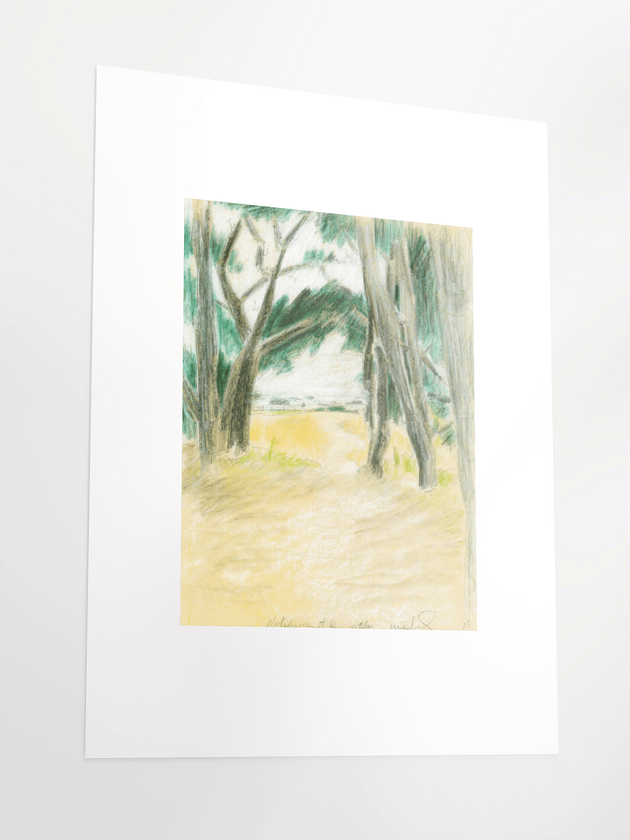 Mackerricher State Park, CA 09.02.86 print product image (4)