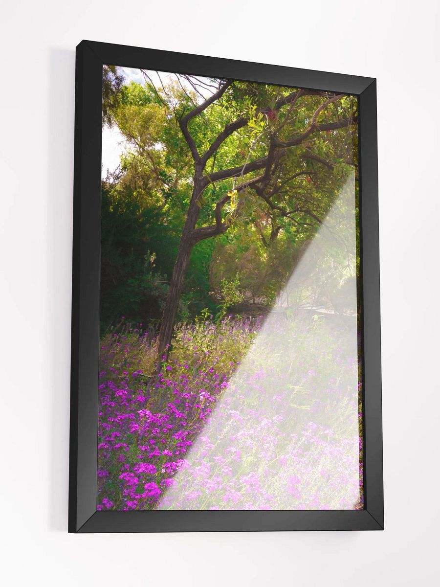 Wildflowers in Light product image (3)