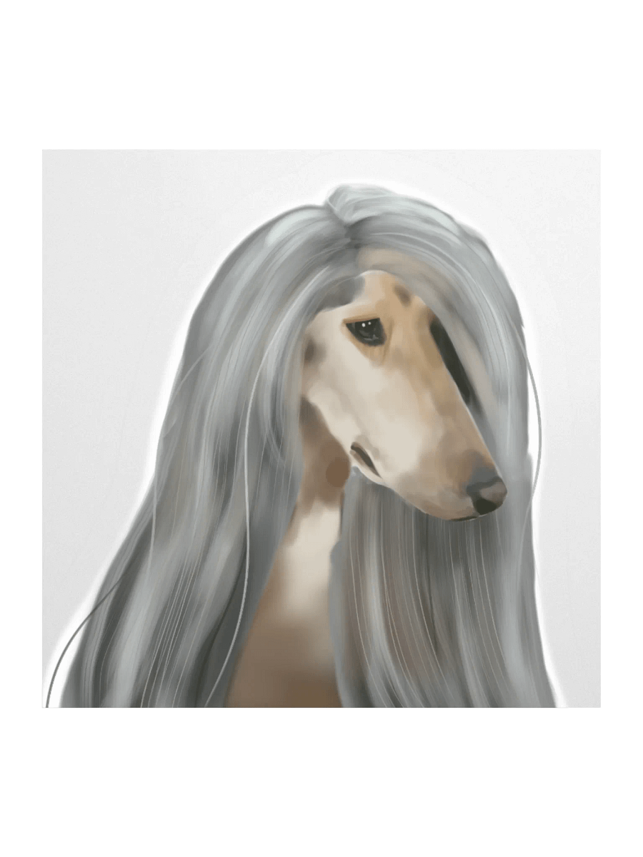 Afghan Hound product image (2)