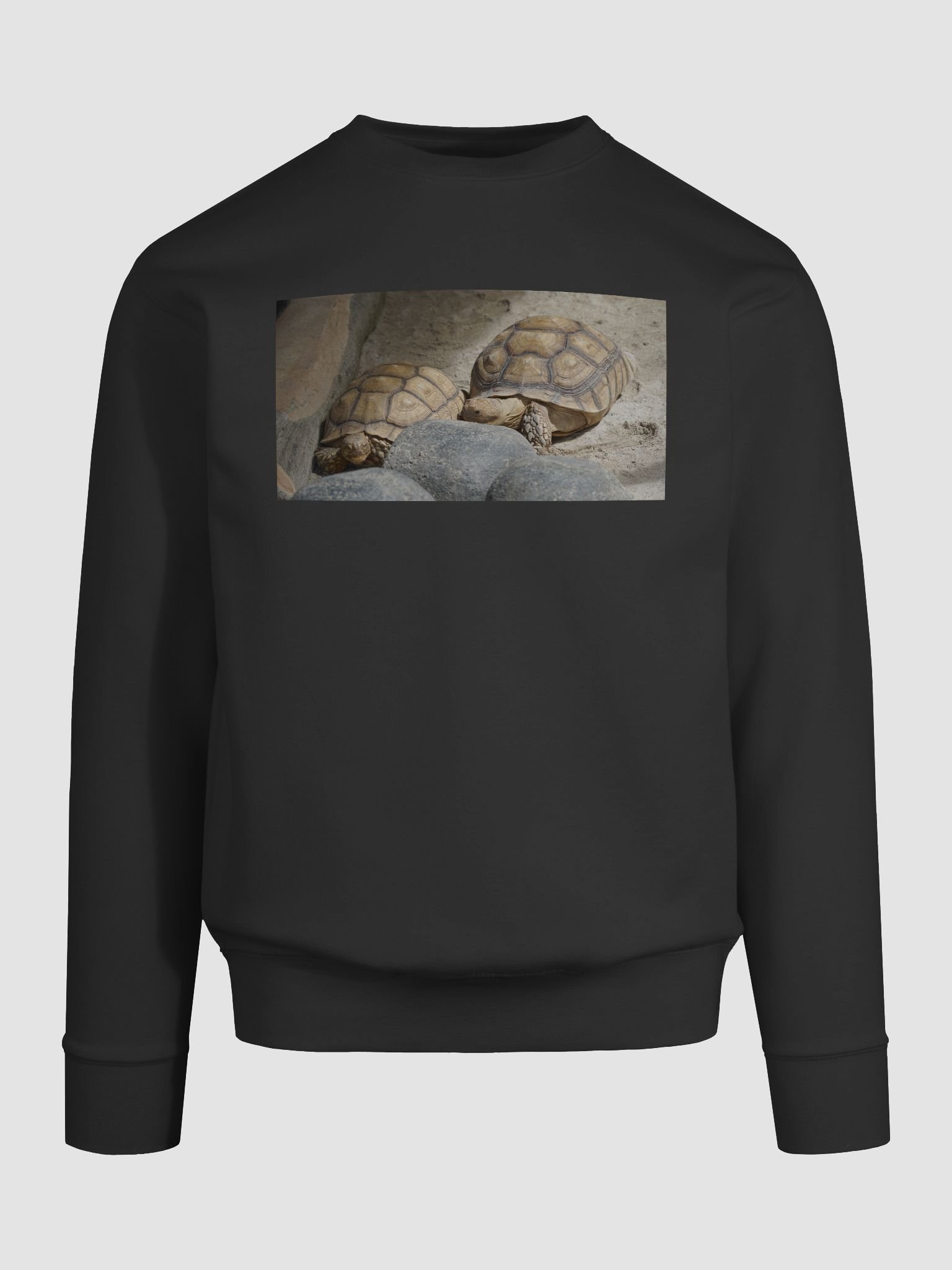 Hexagonal Tortoise Oasis Sweatshirt product image (9)