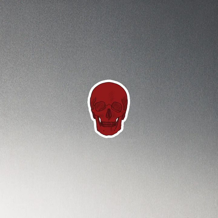 Skull magnet product image (4)