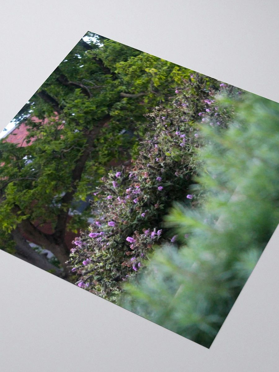 A Study in Flowers 17 - sticker version product image (11)