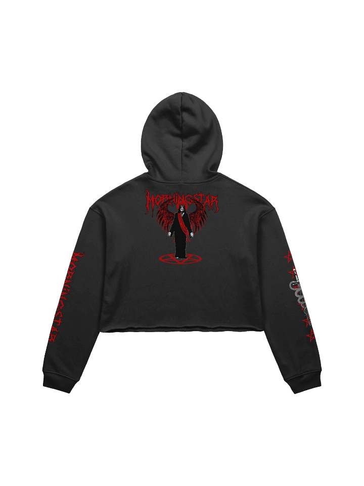 Morningstar Fleece Crop Hoodie product image (2)