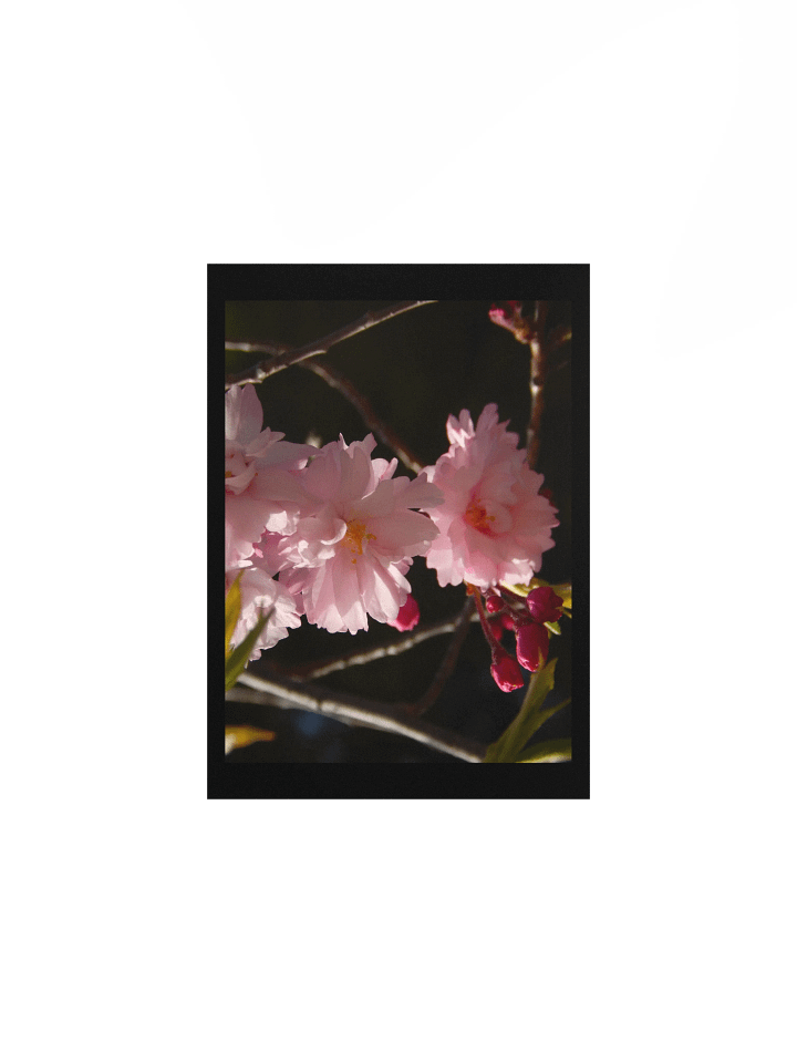 Pink Flowers product image (1)