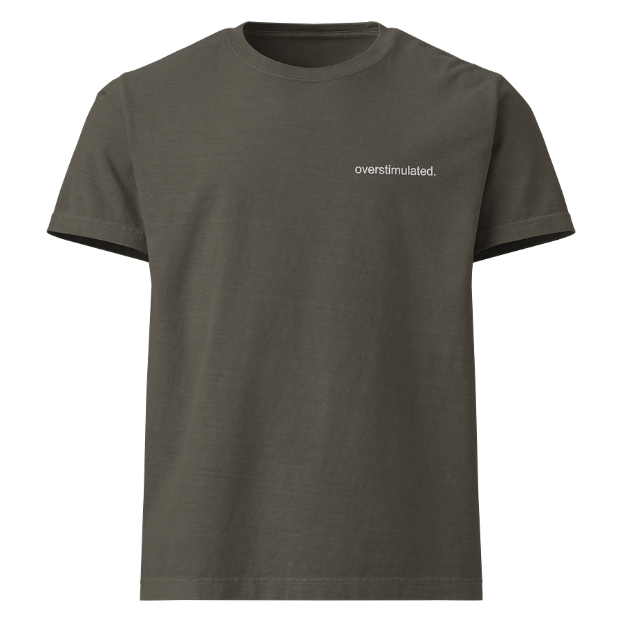 overstimulated embroidered tee product image (9)