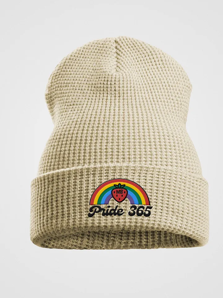 365 product image (2)