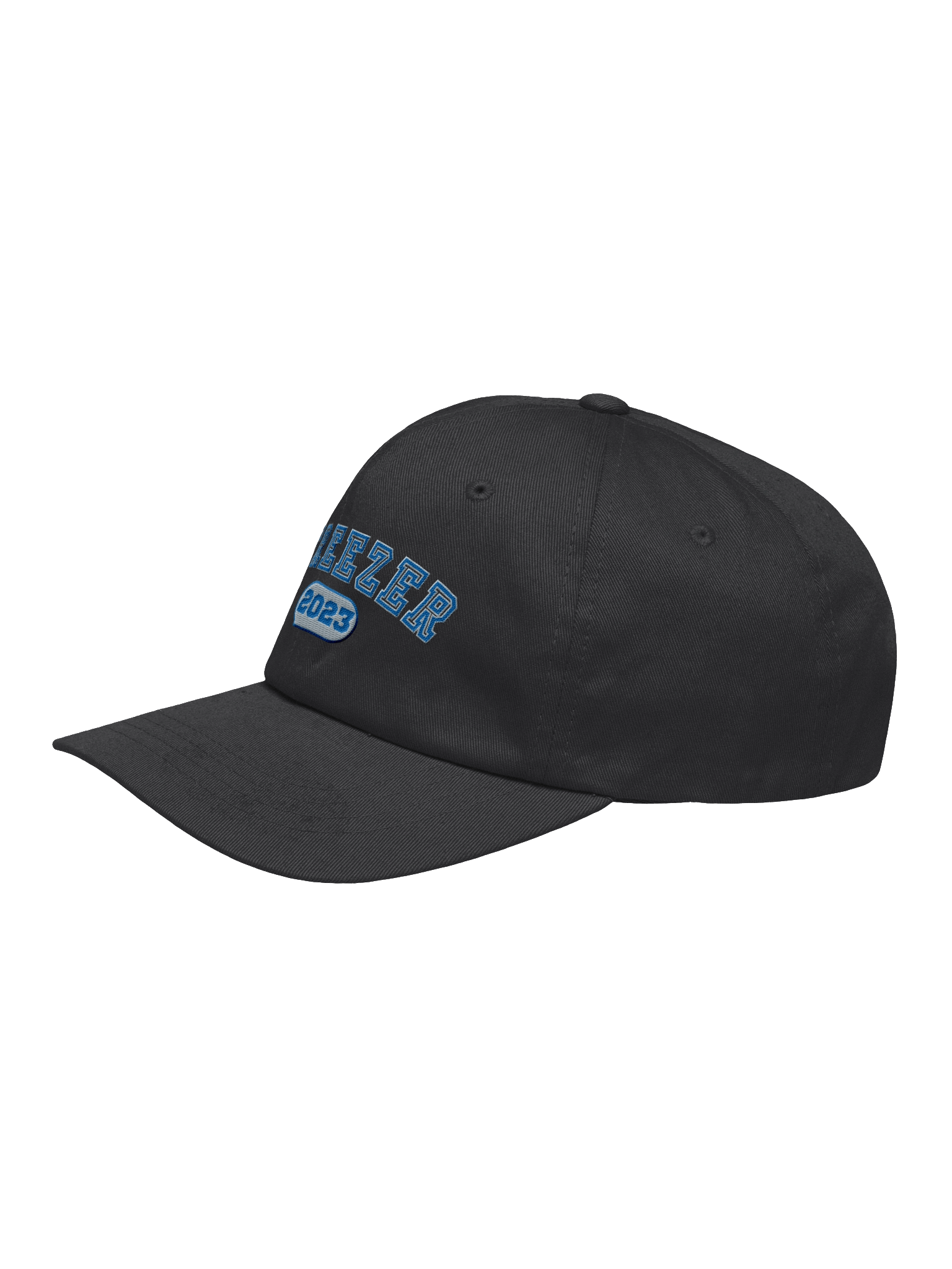 Freezer Dad Hat product image (13)