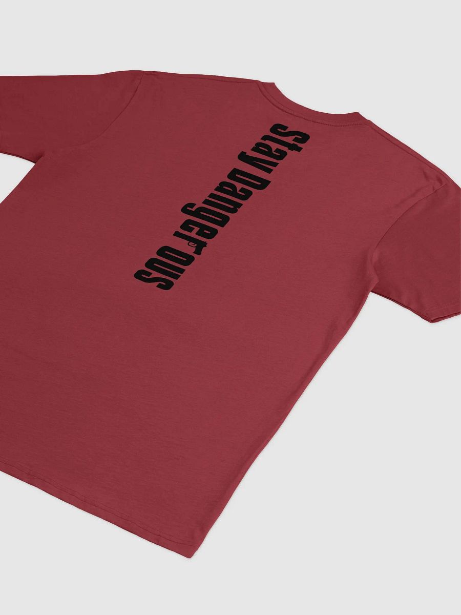 THE BRAXTON T-SHIRT DESIGN 1 product image (4)
