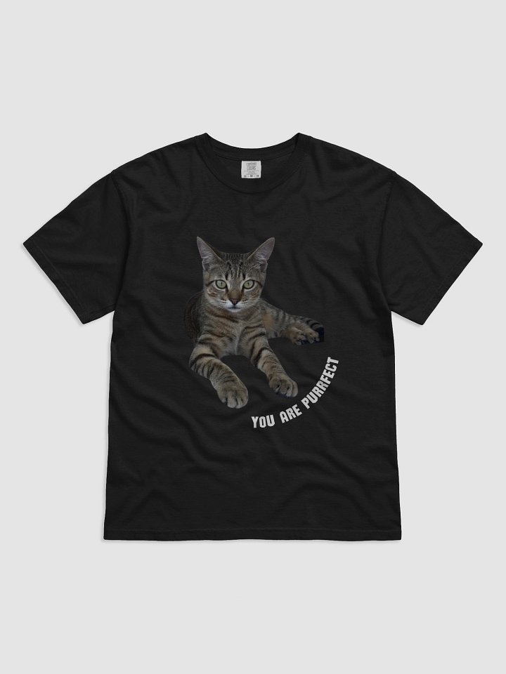 Purrfect tee product image (1)